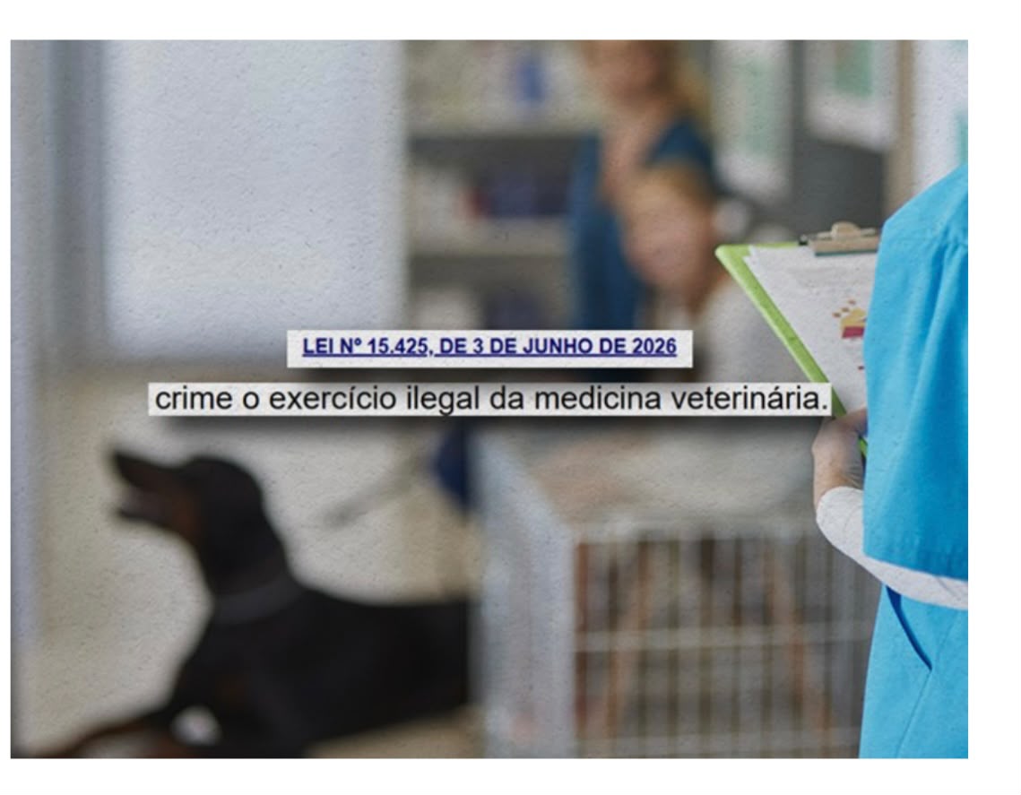 Exercício ilegal da medicina veterinária passa a ser crime expressamente previsto no código penal.